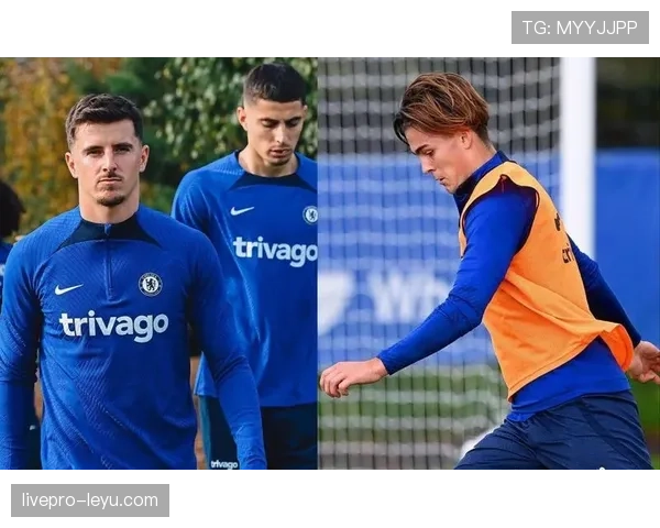 切尔西足球俱乐部聚焦重建与青训，双轨战略引领未来发展