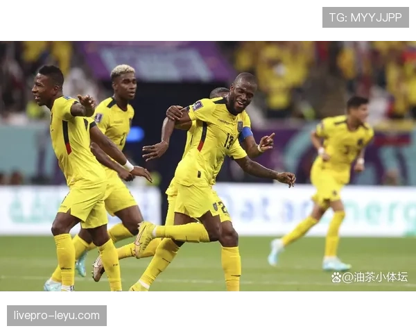 南美足坛迎来新星与老将加盟,联赛竞争力显著提升 南美足坛迎来新星与老将加盟,联赛竞争力显著提升