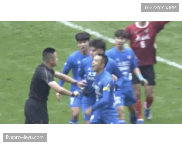 解放者杯VAR争议升级，裁判判罚引质疑，赛事公正性受考验